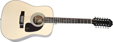 Epiphone DR-212