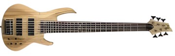 ESP