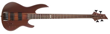 ESP