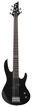 ESP