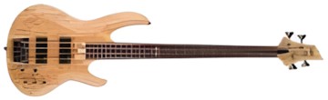 ESP