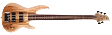 ESP