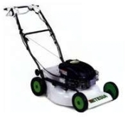 Etesia