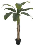 Europalms