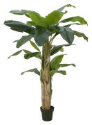 Europalms