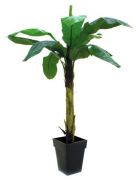 Europalms