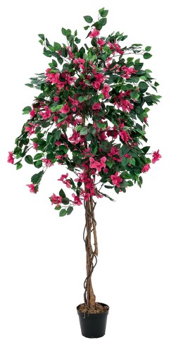Europalms Bougainvillea rot 150 cm Europalms Bougainvillea rot 150 cm