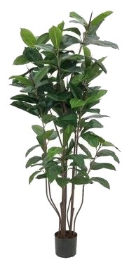 Europalms