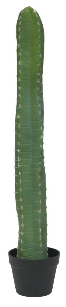 Europalms