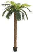 Europalms