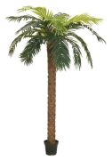 Europalms