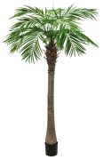 Europalms