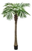 Europalms