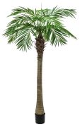 Europalms Phönixpalme luxor 300 cm
