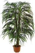 Europalms
