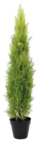 Europalms Zypresse 120 cm Europalms Zypresse 120 cm
