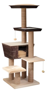 Europet-Bernina Curacao