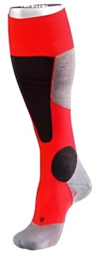 Falke