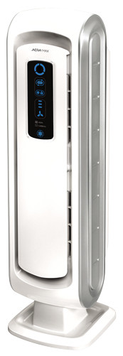 Fellowes