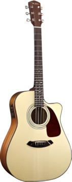 Fender