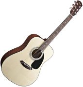 Fender