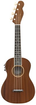 Fender