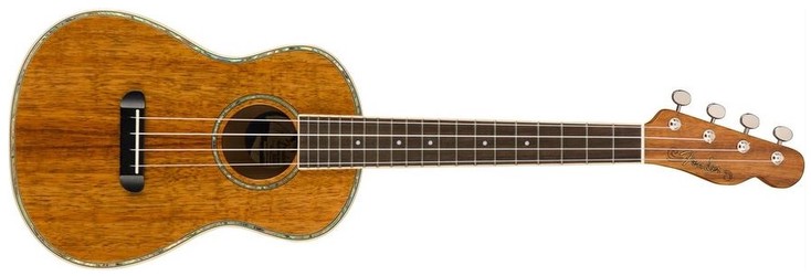 Fender