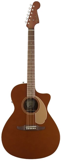 Fender Newporter Player