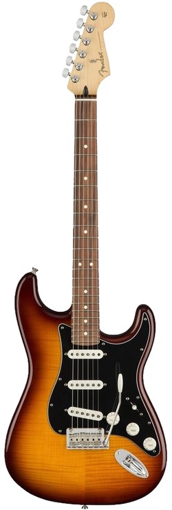 Fender