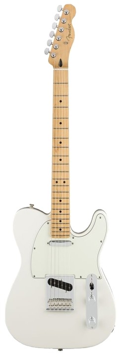 Fender