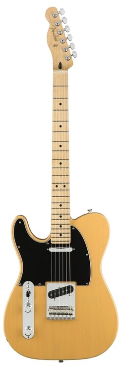 Fender