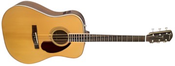Fender