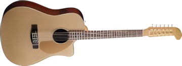 Fender