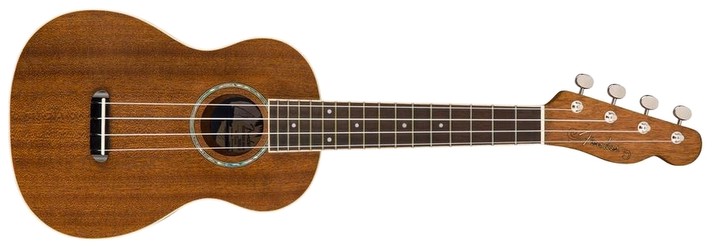 Fender Zuma