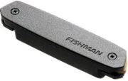 Fishman