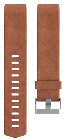 Fitbit