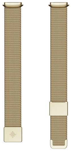 Fitbit