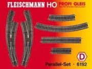Fleischmann