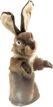 Folkmanis Hase für die Puppenbühne