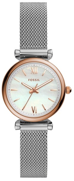 Fossil