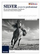 Franzis Silver projects professional