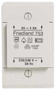 Friedland