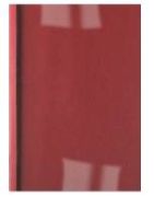 GBC Thermobindemappe 451218