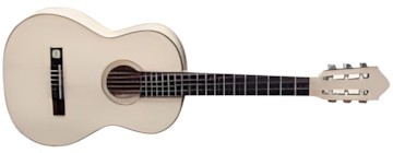 Gewa Pro Natura Silver 3/4