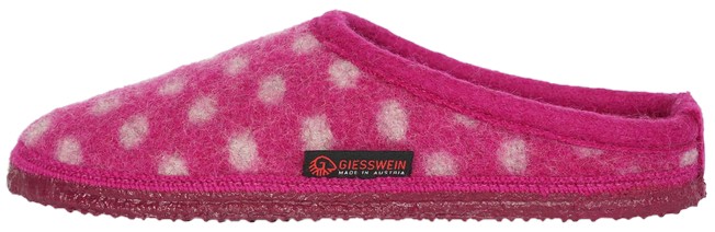 Giesswein