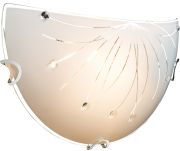 Globo