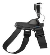 GoPro
