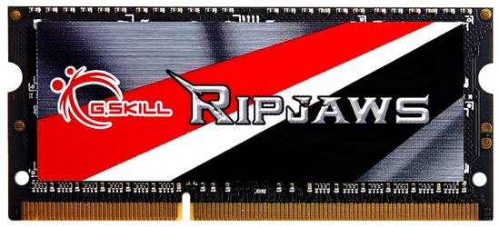 G.Skill DDR3-1600 8GB Ripjaws (F3-1600C11S-8GRSL)