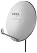 GSS