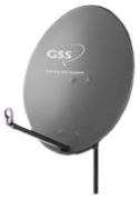 GSS
